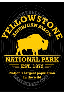 Modèle exclusif Danse Country Last Rebels "Yellowstone" réserve de bisons