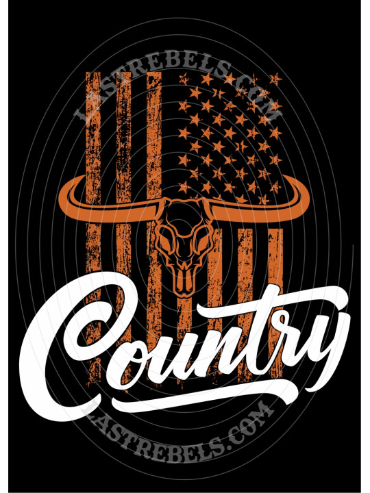 Chemise danse country femme "Long Horn" LAST REBELS - Motif exclusif Chemise danse country femme "Long Horn" LAST REBELS - Motif exclusif
