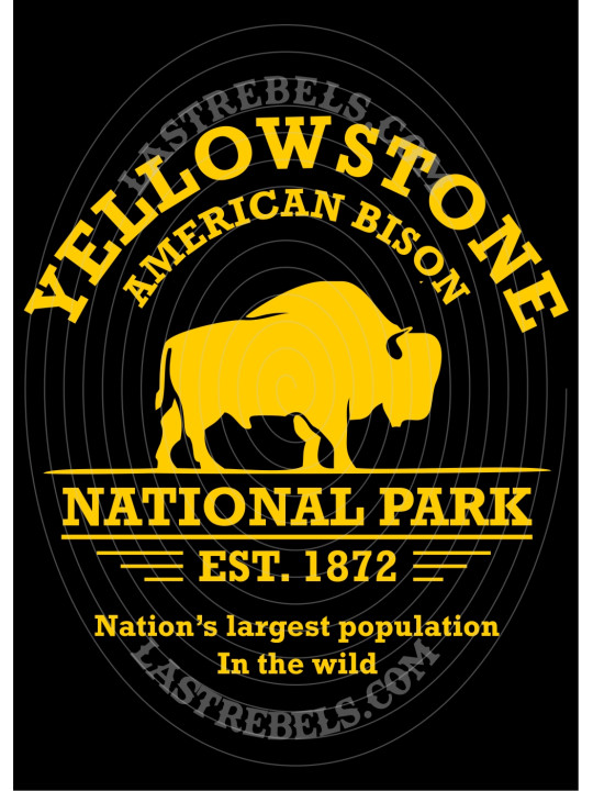 Chemise danse country femme "Yellowstone Bisons" LAST REBELS - Motif exclusif