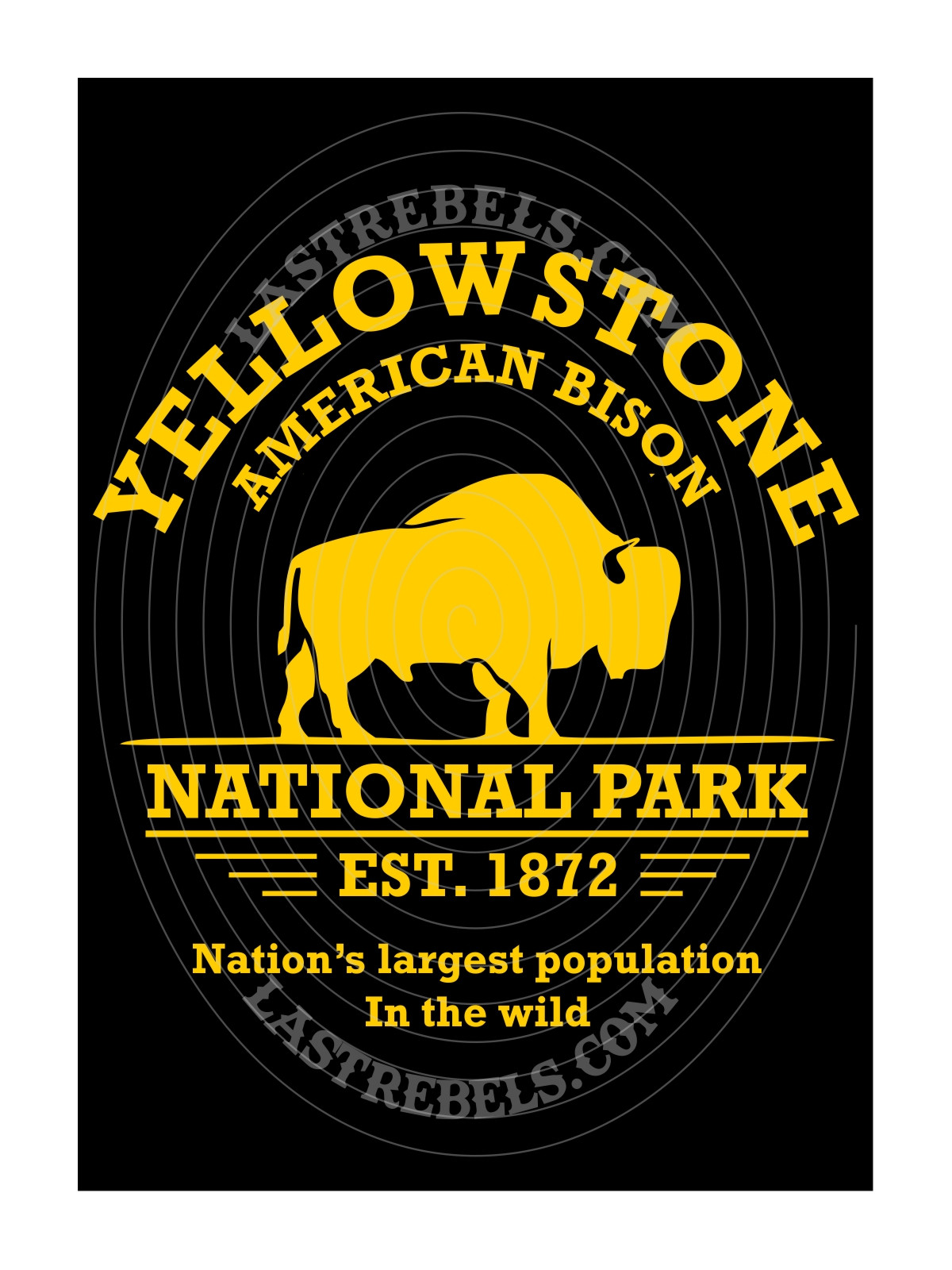 Chemise danse country femme "Yellowstone Bisons" LAST REBELS - Motif exclusif