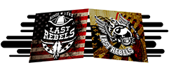 LAST REBELS